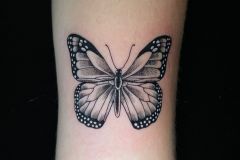 IMG-20231116-WA0004