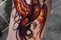 IMG-20200612-WA0003