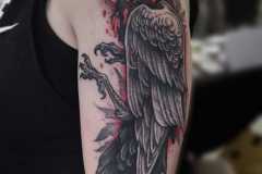 IMG-20221209-WA0002