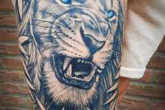 IMG-20220816-WA0003