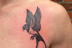 IMG-20230803-WA0011